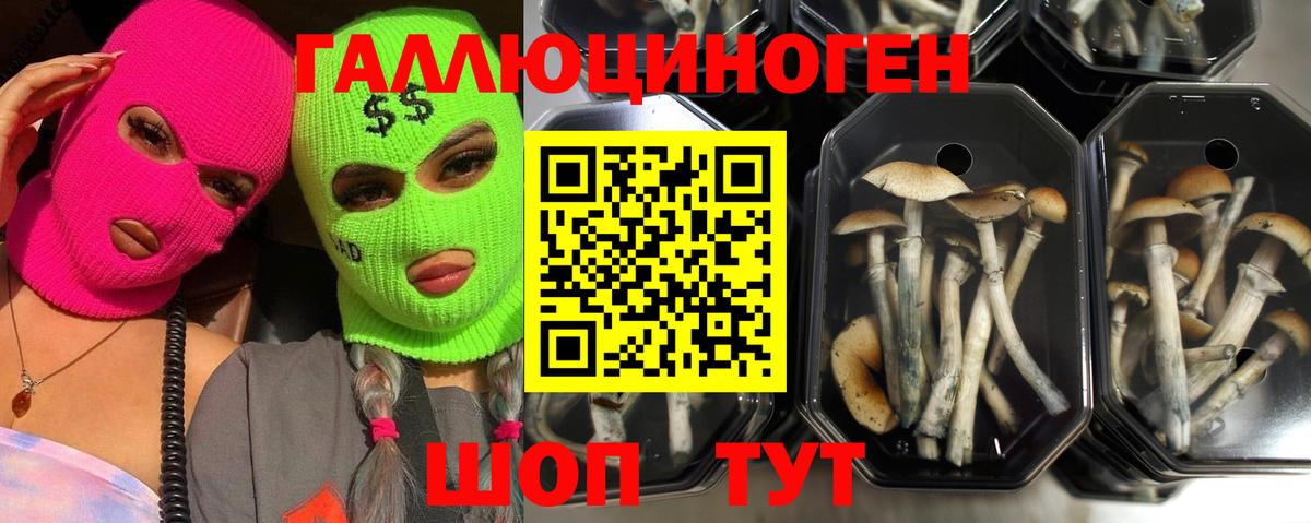 Галлюциногенные грибы прущие грибы Лесной